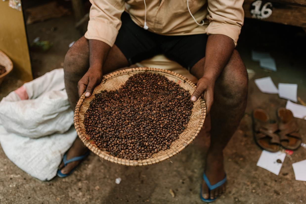 Choosing the best rosehip tea: organic, fair trade, and quality