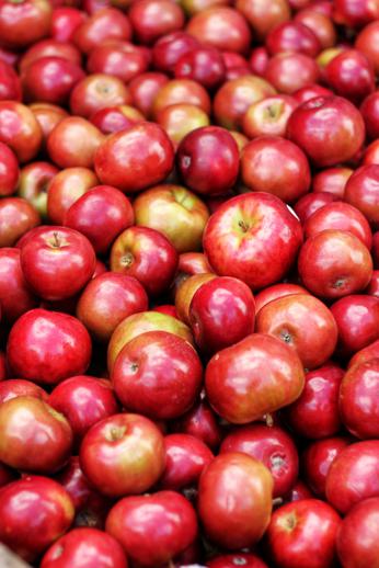 Health benefits of eating opal apples