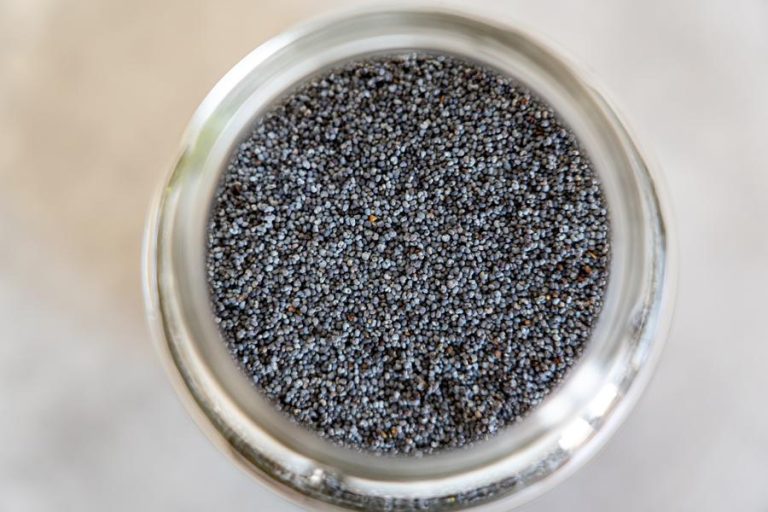 Health Benefits Of Hemp Seeds Vs Chia Seeds