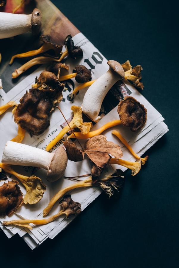 How to prepare king trumpet mushrooms