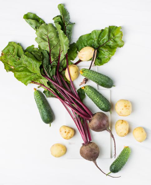 Nutritional facts about fermented beets