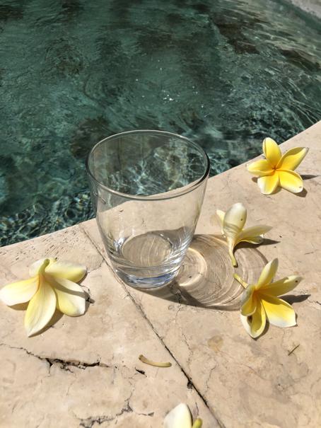 Potential side effects and risks of consuming plumeria