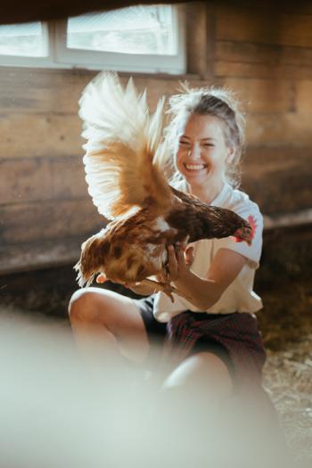 Types of chicken wings and their nutritional value