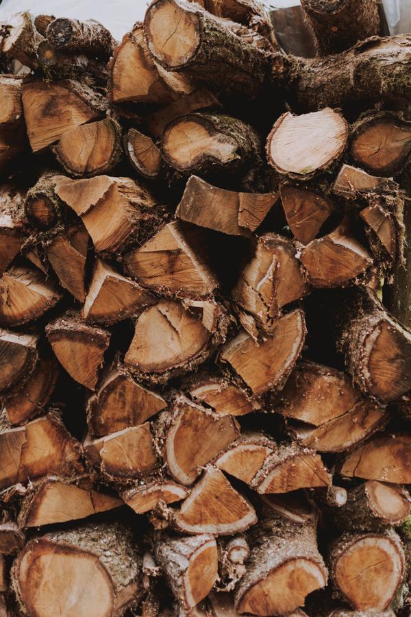 14 Health Benefits Of Pine Bark Extract