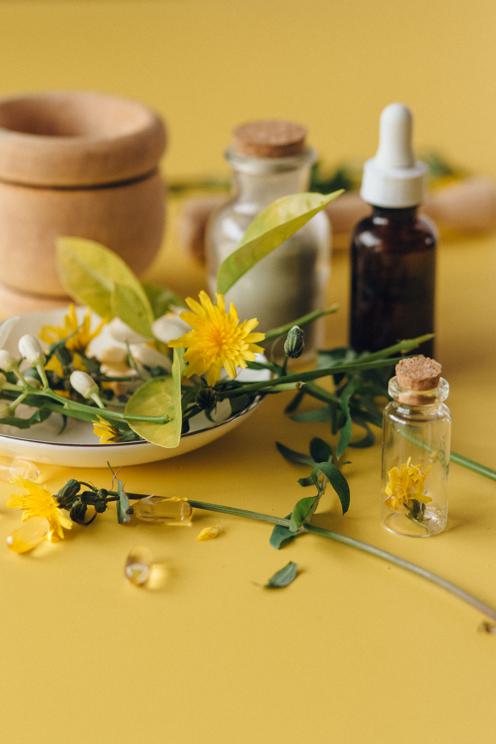 Arrowroot as a natural remedy for common ailments