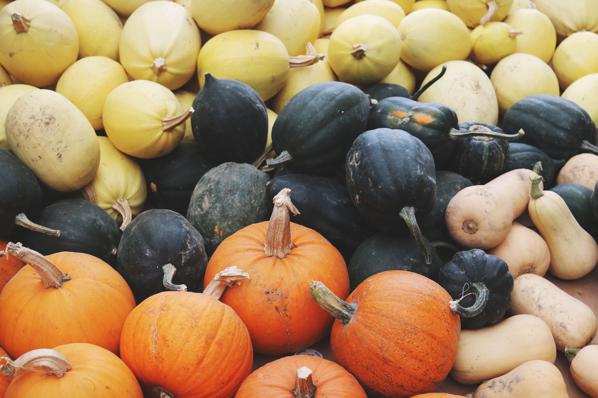 Different types of pumpkin and how they benefit dogs