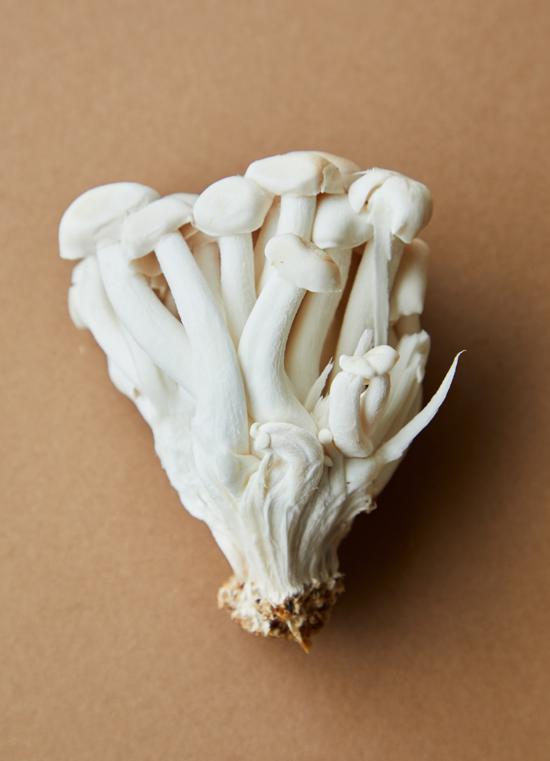 Different ways to eat oyster mushrooms