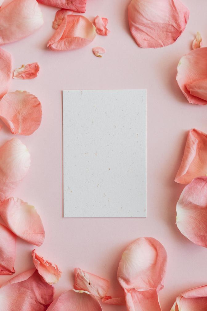 How rose petals can help reduce inflammation