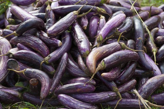 How to cook with purple yam