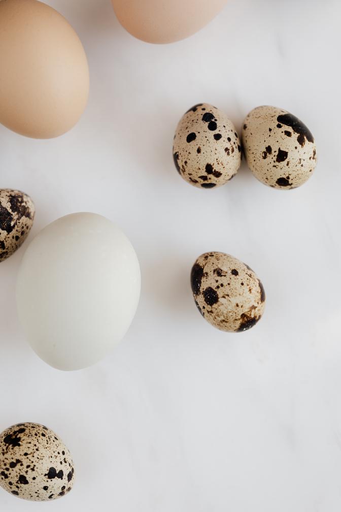 How to integrate quail eggs into your diet