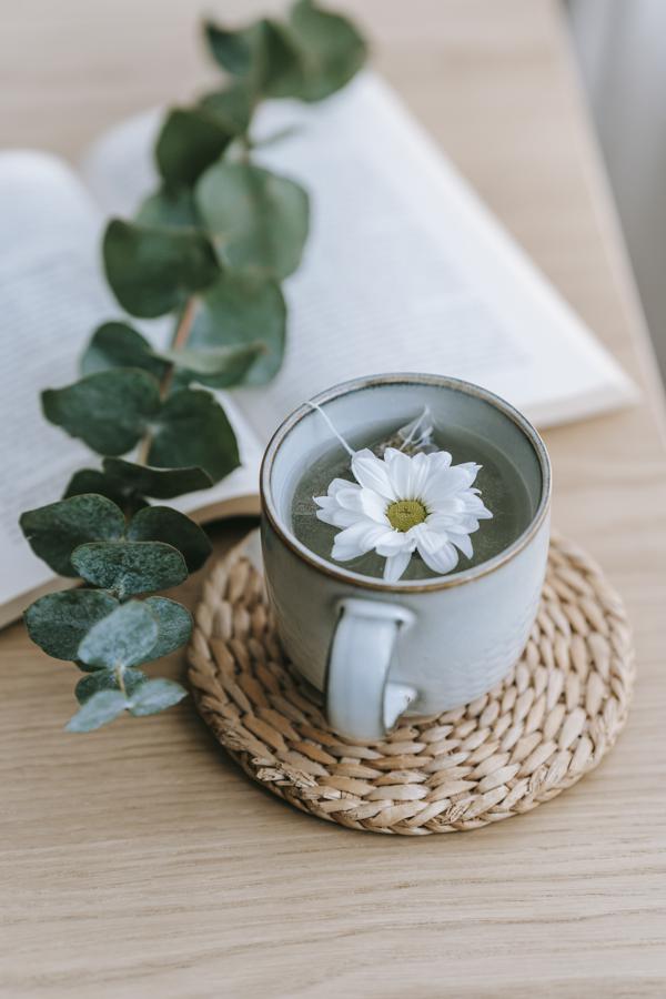 How to make chrysanthemum tea