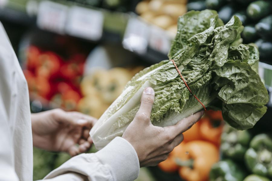 How to select and store butter lettuce