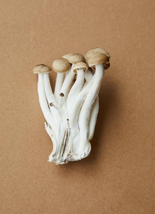 Nutrition and nutrient profile of shiitake mushrooms