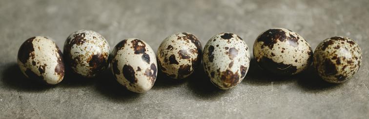 Nutritional benefits of quail eggs