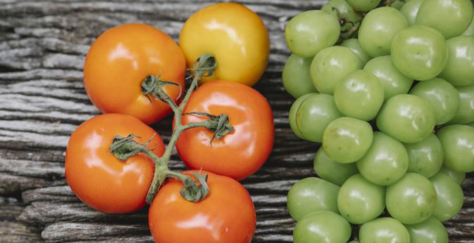 Nutritional breakdown of green tomatoes: vitamins, minerals, and other essential nutrients