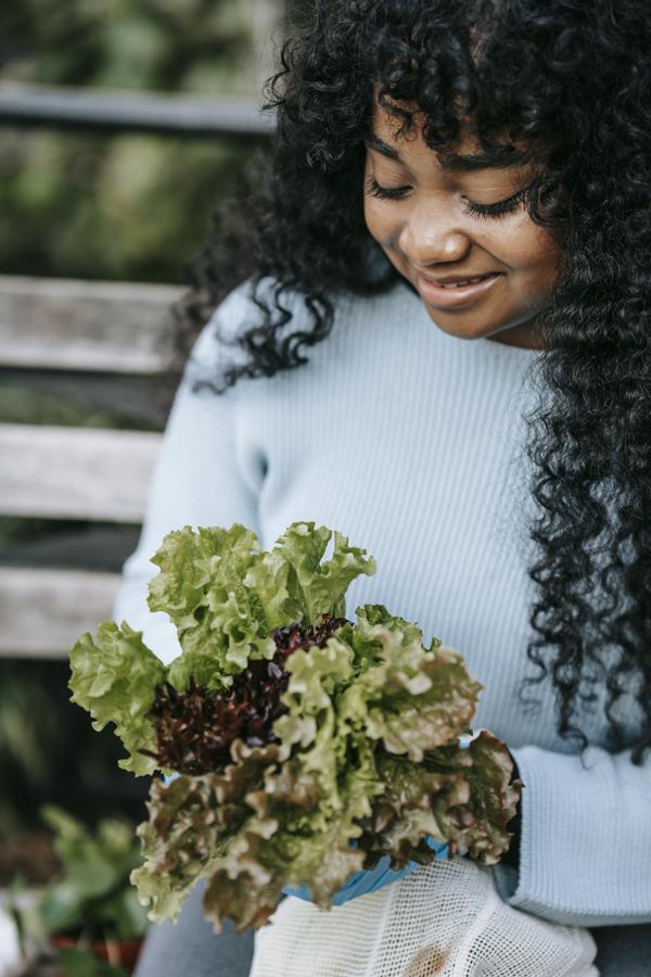 Nutritional content of bitter leaf