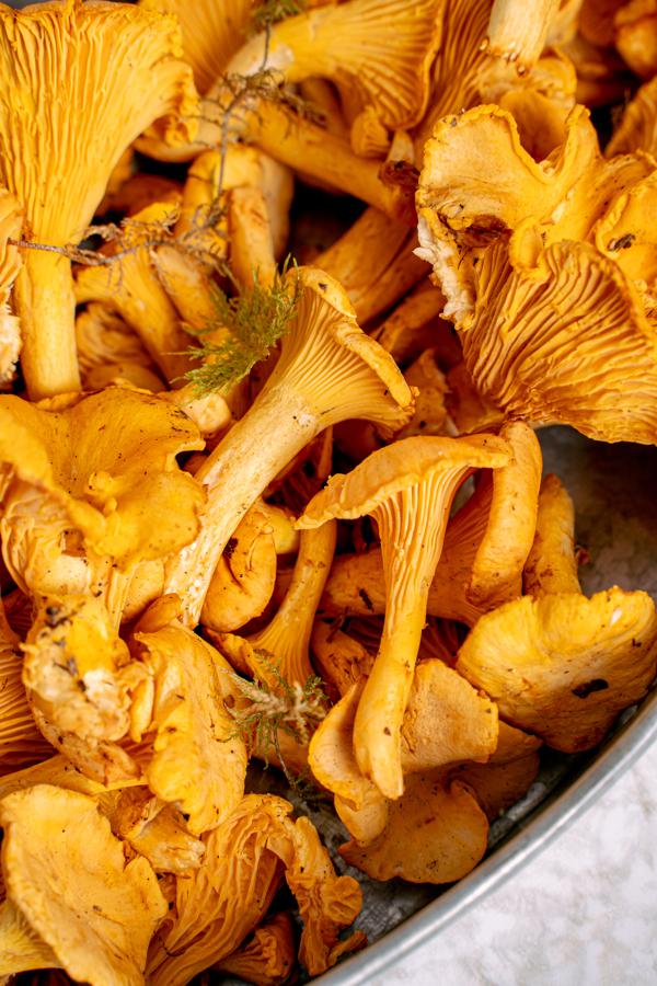 Nutritional profile of chanterelle mushrooms