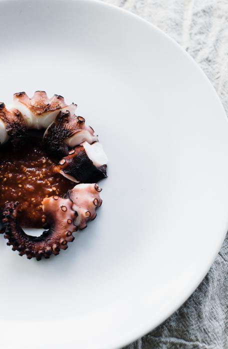 Nutritional profile of octopus