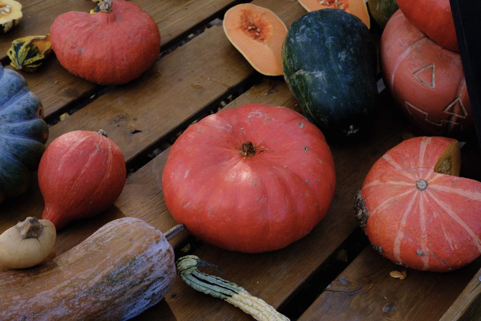 Potential risks of kabocha squash