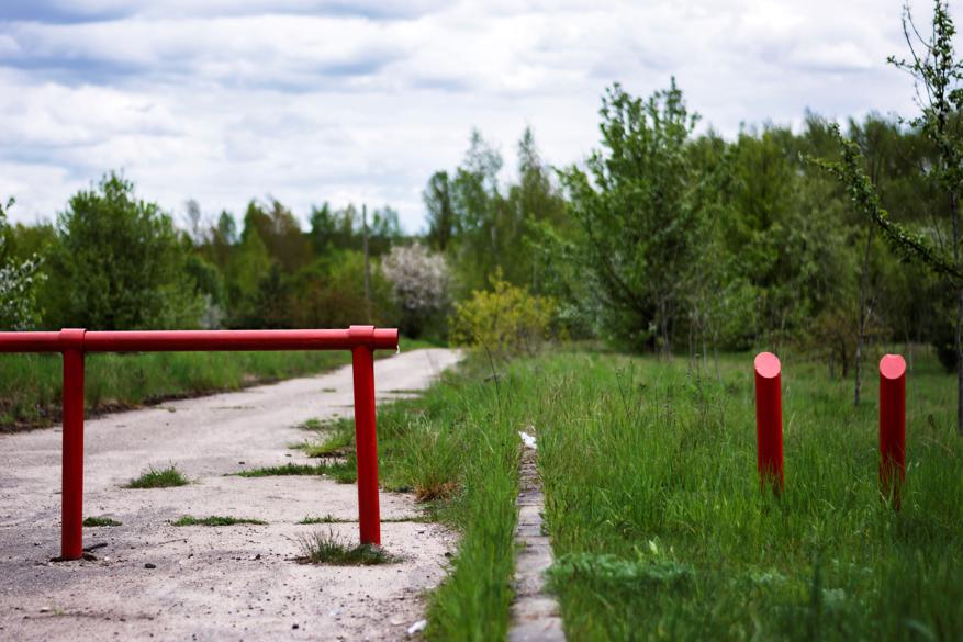 Potential side effects of chokecherry