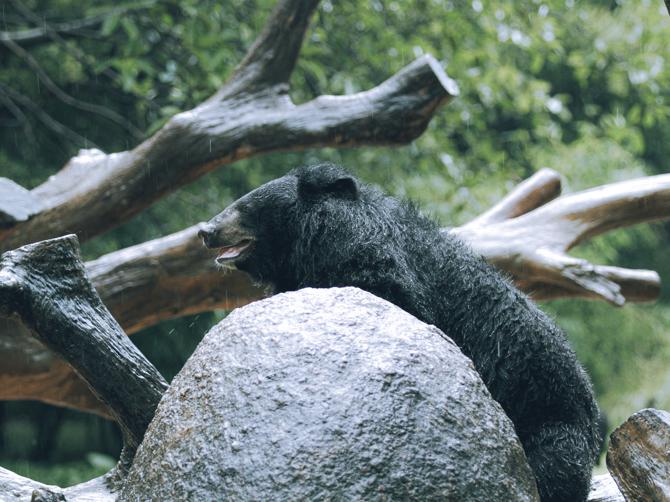 Psychological benefits of rock climbing