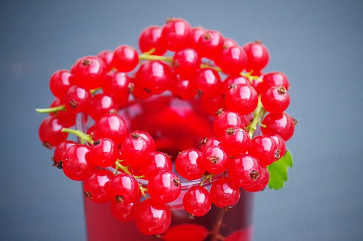 Red Currant Health Benefits