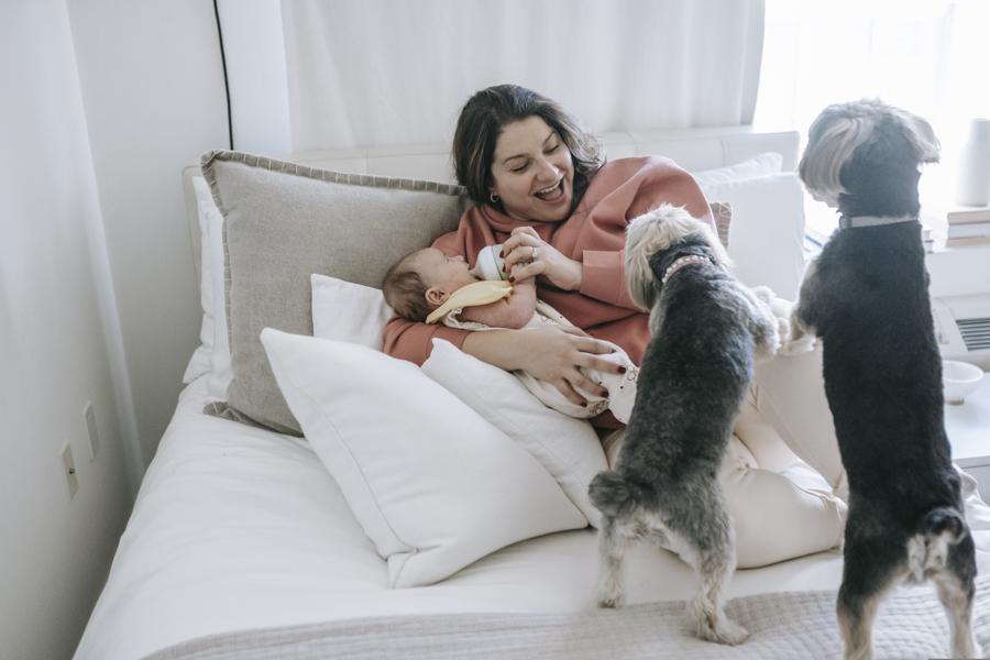 Tips for feeding watermelon to dogs