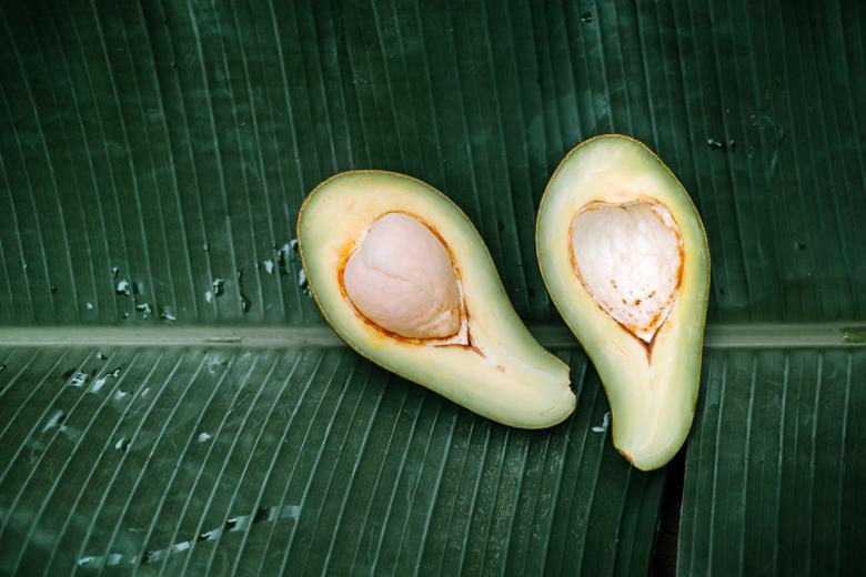 Avocado seed's role in digestive and gut health