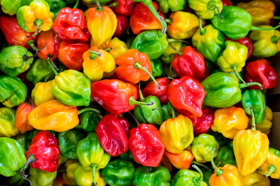 Different types of habanero peppers