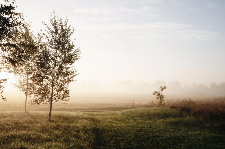 Enjoy the benefits of nature and early morning sunlight