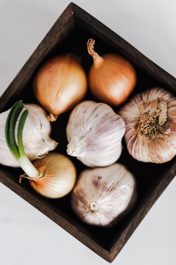 How to grow and harvest your own sprouted garlic