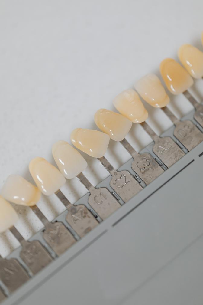 Overview of the different types of dental coverage available