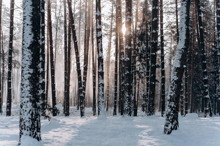 The benefits of mountain soap