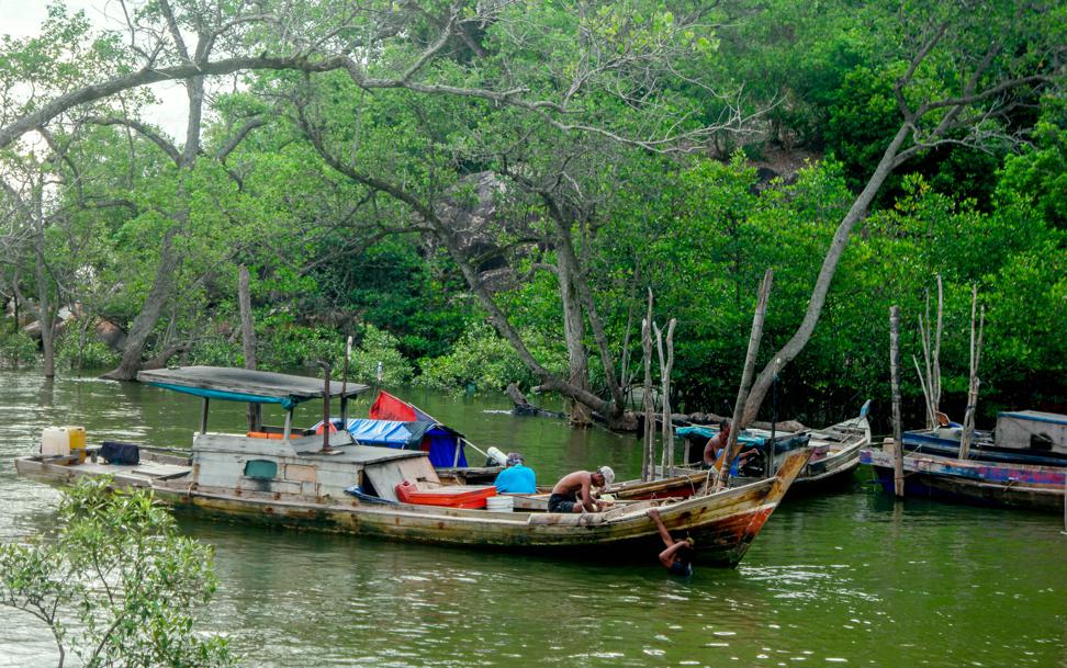 The brain benefits of fishing