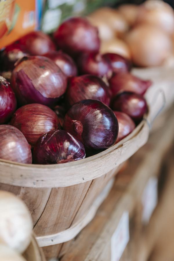 Harvesting and storing your produce