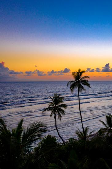 How to select the best coconut water