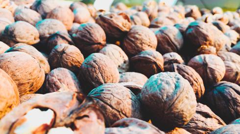 10 amazing health benefits of walnuts