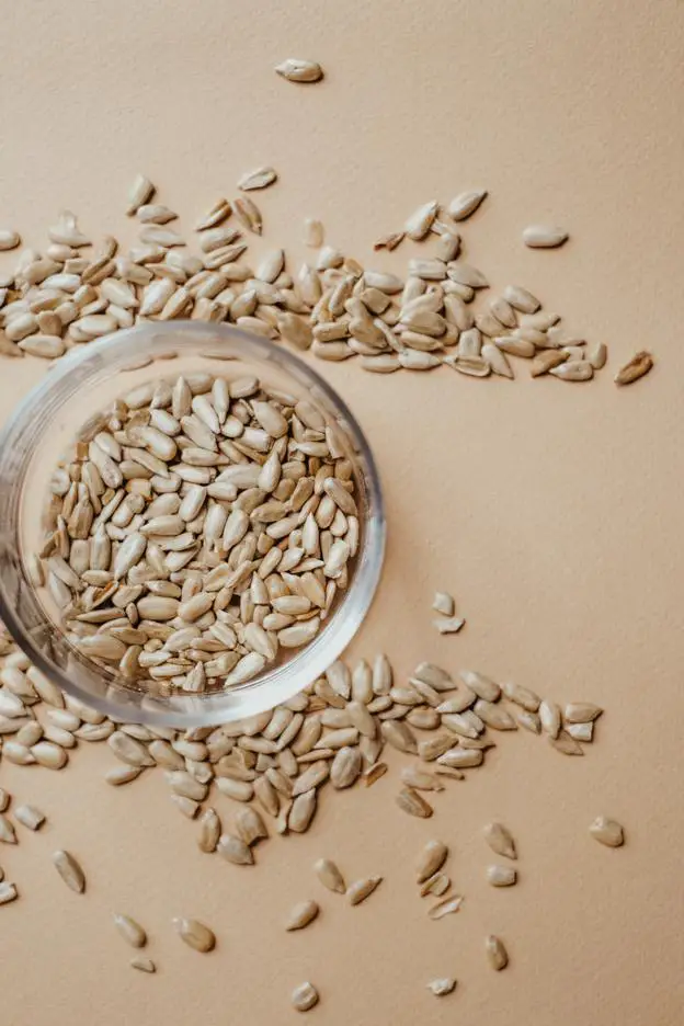 9 impressive health benefits of kalonji seeds