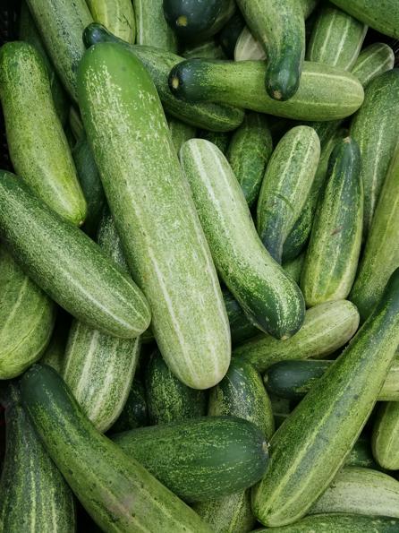 Cucumber & yogurt soup