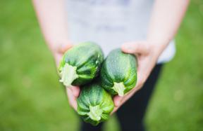 Health benefits of zucchini