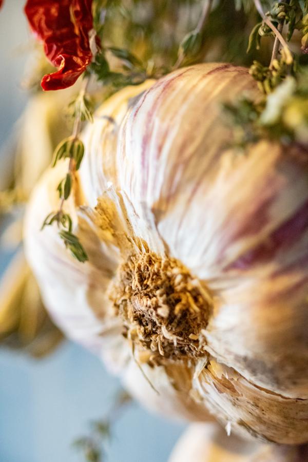 How to grow garlic at home