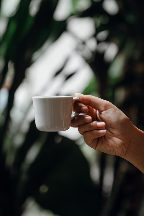 How to make soursop leaf tea