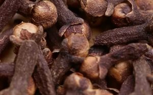 Clove Water Benefits For Conceiving Twins Ovulation Menstruation And Fertility