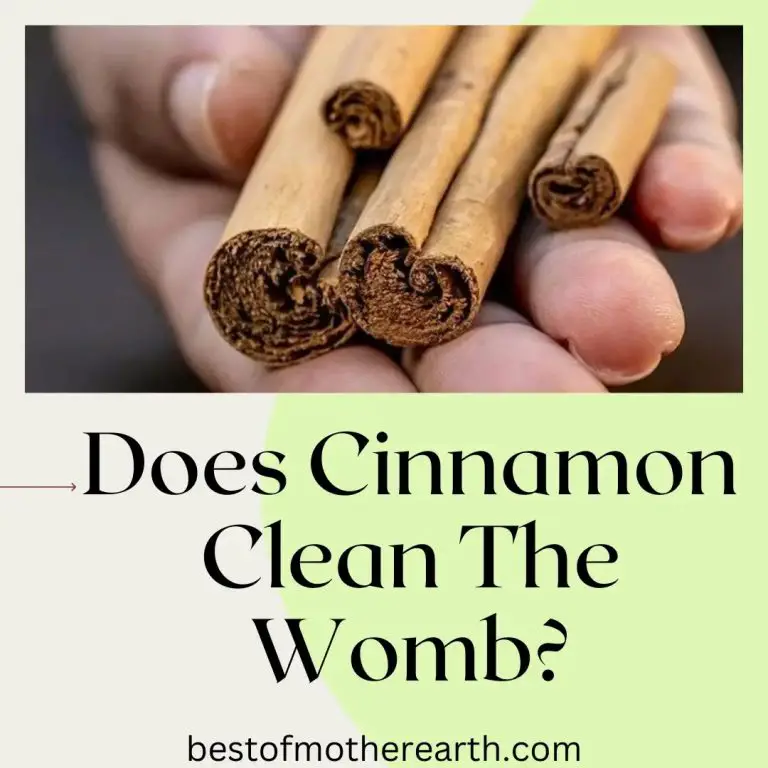 Does Cinnamon Clean The Womb