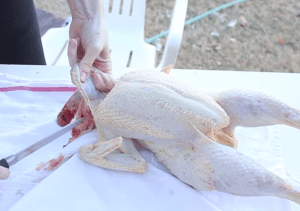 Cleaning Chicken How To Clean A Chicken And Butcher